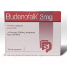 Купить Буденофальк капсулы